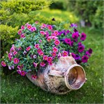 Греческая амфора