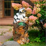 енот на пне