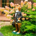 сурикат в саду