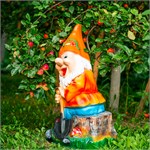 садовый гном садовый гном