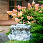 для ландшафтного дизайна