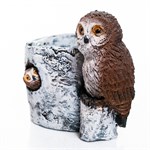 для цветов и растений