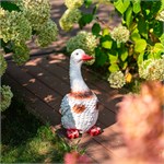 F01271 утка F01271 утка