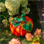 тыква средняя