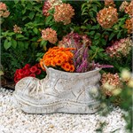 башмачок в саду