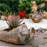 для растений в садуи доме