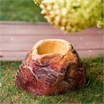 для декора сада