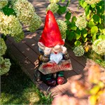 декоративный гном