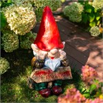 садовый гном