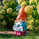 гном в саду