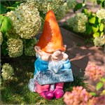 садовый гном