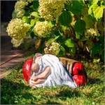 садовый гном