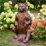 медведица медведица