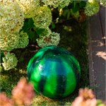 арбуз на даче