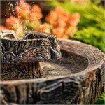 фонтан с совой