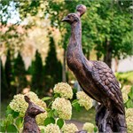 фигура павлина фигура павлина