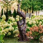 павлин на ветке павлин на ветке