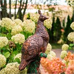 павлиниха в покраске бронза