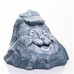 для декора в саду