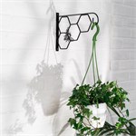 для озеленения