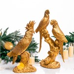 декоративные птицы