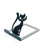 черная кошка в доме