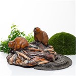 бобры на запруде