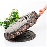 для декора в саду