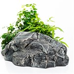 декор для сада и огорода