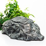 для декора в саду