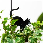 для роста растений