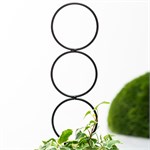 для домашних растений