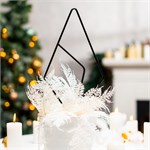 для комнатных растений