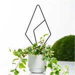 для домашних растений