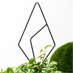 для роста растений