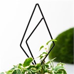 для домашних растений