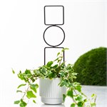 для комнатных растений