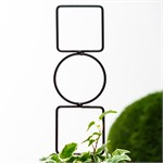 для роста растений