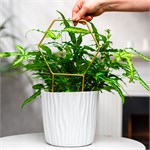 опора для комнатных растений