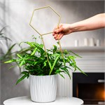 для роста растений