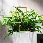 опора для комнатных растений