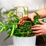 опора в подарок