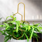 опора в золотом цвете