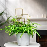 опора для домашних растений