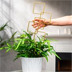 для не высоких растений