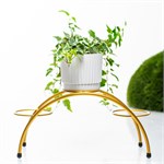 для трёх растений