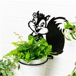 для одного растения