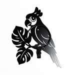 попугай в доме