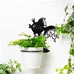 для одного растения