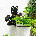 для одного растения